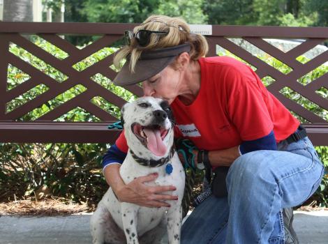 Dog gets some love at the Humane Society of South Coastal Georgia